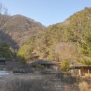 청옥산깨비마을 야영장 이미지