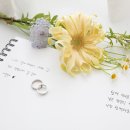 올리브영 청담역점 이미지