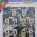 스페인어 회화 초급 이미지