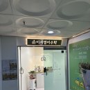 풀스토리학원 | 병점 출장분갈이 후기｜비어있던 학원 화분, 식물교체로 완성한 플랜테리어