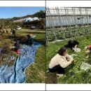 철원군 치매안심센터 이미지