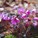 아현실버복지관 이미지