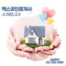 맥스공인중개사사무소 이미지