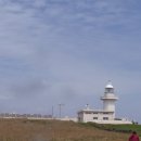 호두태양광발전소 이미지