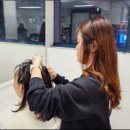 생활미용헤어 이미지