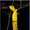 목골 이미지