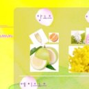 제이엔엘퍼퓨머리하우스 이미지