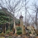 비바에이 | 이런 커피는 처음이었다. 제주 VIVA A 게이샤 후기