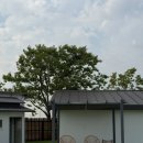 전북특별자치도마음사랑병원 | 전북 김제 애견동반 독채펜션 스테이노네 후기 | 진돗개 깜순이와 함께 1박 2일 촌캉스