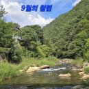 2026년 9월 13일(일) - 정선 민둥산(구월의 철렵) 7 이미지