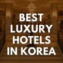 Banyan Tree Club&SPA Seoul Indoor Pool | Top 5 Luxury 5-Star Hotels in South Korea