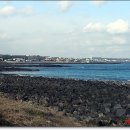 수목원목장 이미지