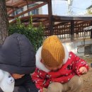 랑토스레