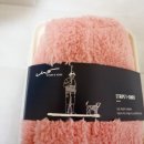 빅토리애견 이미지