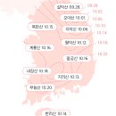 2021년 단풍시기 이미지