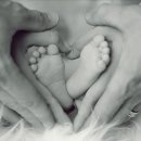 다이어트 요가 이미지