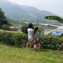 해뜰한옥민박 이미지