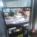 나나노래연습장 이미지