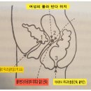 물라 이미지