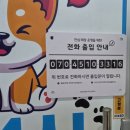 대도무인카페 | 광주 루프탑 운동장 멍타벅스 내돈내산 후기｜24시 무인 애견카페