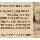 코코플라워 이미지
