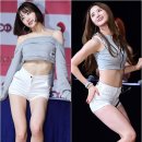 퍼펙트다이어트
