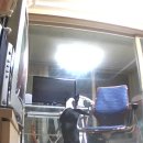 똑똑하개 이미지