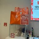 코끼리카프라자 | 젤리캣 버니 M 실물후기 괌 쇼핑리스트 애착인형 JP STORE 젤리캣 종류 가격 SKT 할인정보