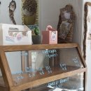 데이크(d'ake) 이미지