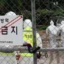 정근축산