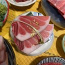 참치플레이트 | 강남역 회식 장소 추천 - 대진도원참치(혼골드 싱글플레이트)