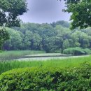 이문영 행정사사무소 이미지