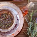 새순약국 이미지