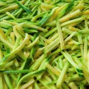 일광파전 이미지