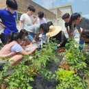 시흥능곡초등학교 이미지