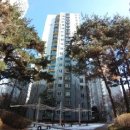 강서구-61 이미지