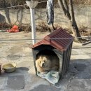 사계절낚시 | 경남 고성 가족 숙소 수성그린비펜션 사계절 낚시와 갯벌체험 미니 동물농장까지 있는 체험형 펜션 추천