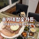 화산돼지찌개 금호점 | 송가네참숯가든 후기 | 서귀포 남원 흑돼지, 반려동물동반 가능한 제주 금호리조트 근처 맛집