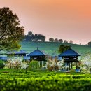 광전농장 이미지