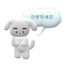 모리엘뷰티 이미지