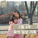 철수야학교가자 | 일상 블로그 육아 기록(아쿠아리움, 아이랑 여행, 어린이집 졸업)