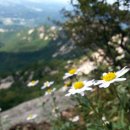 일기일회 이미지