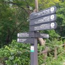 순환로3 | 남산 북측순환로 걷다 3