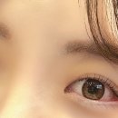 뮬라인 이미지