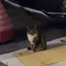 정든엄마손맛 | 가을인데 겨울이에요