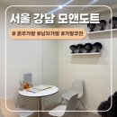 결혼준비, 서울 강남 모앤도트 혼주 가발 상담/구매 후기