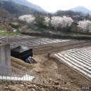 풍년회관 이미지