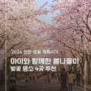 남동어린이공원 | 인천 벚꽃 명소 4곳 | 아이와 함께 다녀온 봄나들이 후기 (2026 개화시기 총정리)