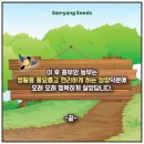 흥부놀부전 이미지