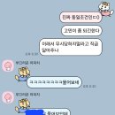 몰디브 신혼여행 마푸시바루 리조트 예약 후기(feat. 투어민)